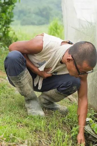 Kong Rice (2016)