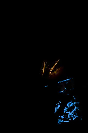 Night Fire (2021)