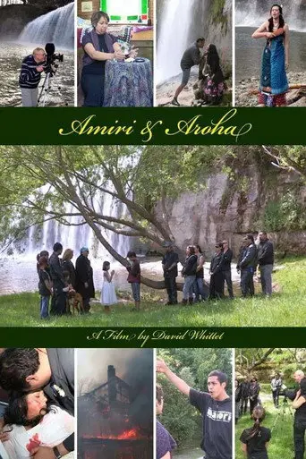 Amiri & Aroha (2011)