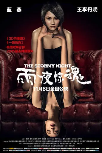 The Stormy Night (2015)