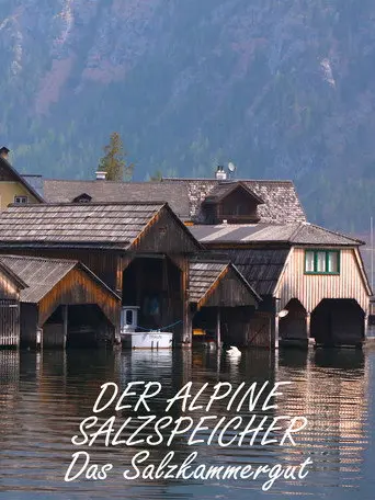 Der alpine Salzspeicher (2019)