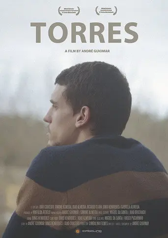 Torres (2013)