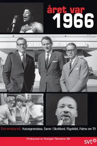 Året var 1966 (2016)