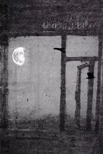 Out Beyond The Window (2022)