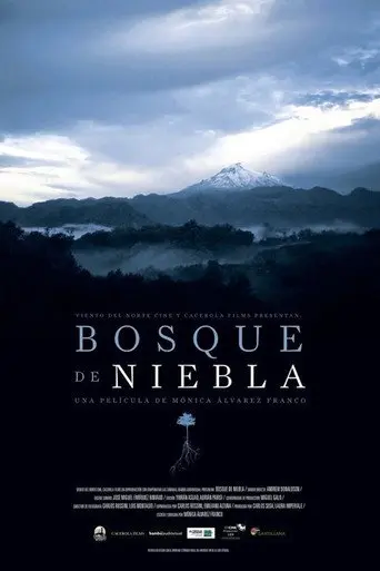 The Cloud Forest (2017)