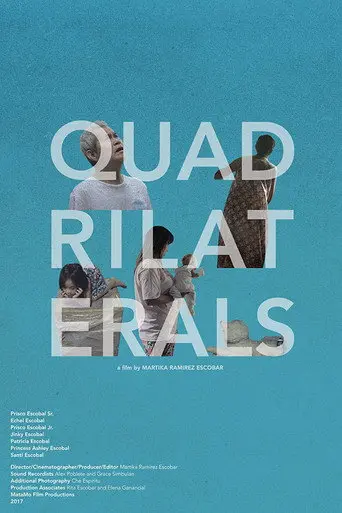 Quadrilaterals (2017)