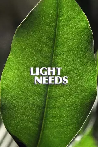 Light Needs (2023)