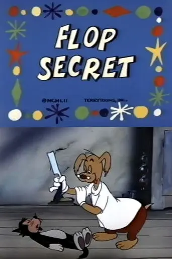 Flop Secret (1951)