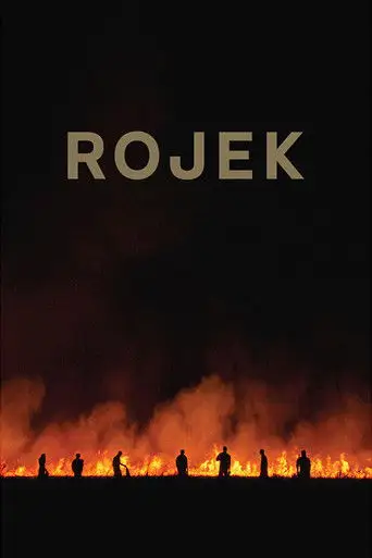 Rojek (2022)