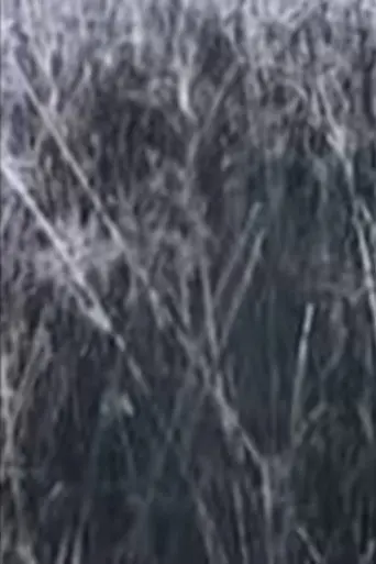 Return to the Sedge Fields (1973)