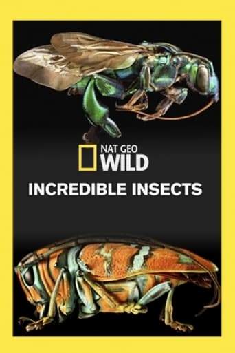 Incredible Bugs (2016)