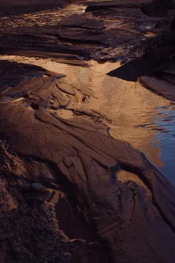 Desert Mourning (2020)