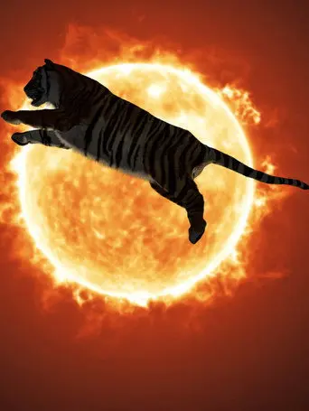 One or Several Tigers (2017)