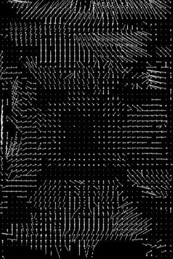 Lossless #4 (2008)