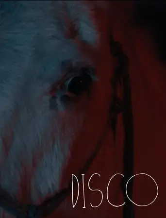 Disco (2026)