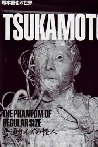 The Phantom of Regular Size (1986)