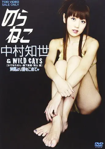 のらねこ 中村知世 & WILD CATS/かでなれおん・森下悠里・秋山優 沖縄より愛をこめて (2008)