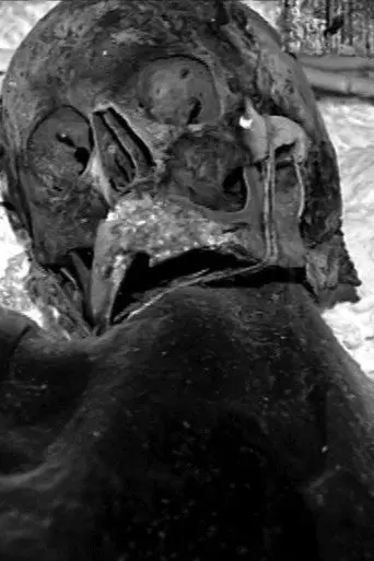 il Gattoparve (1995)