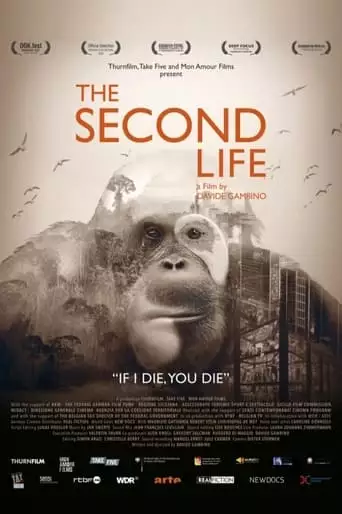 The Second Life (2022)