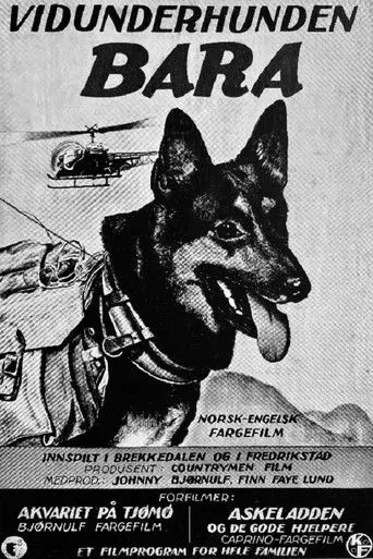 Vidunderhunden Bara (1961)