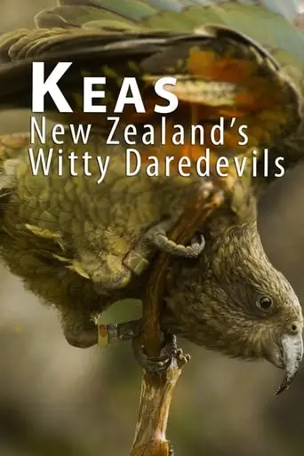 Keas - New Zealand's Witty Daredevils (2015)