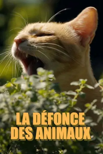 La défonce des animaux (2025)