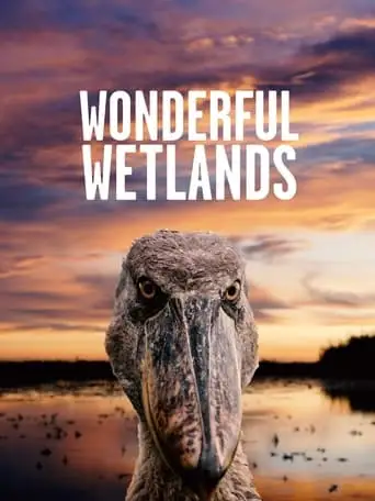 Wonderful Wetlands (2020)