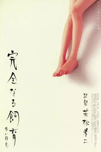 Perfect Education 6 (2004)