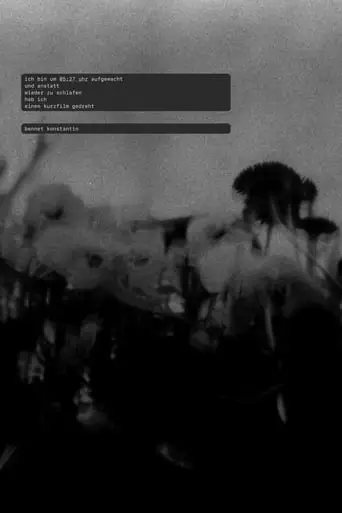 Ich Bin Um 05:27 Uhr Aufgewacht Und Anstatt Wieder Zu Schlafen Hab Ich Einen Kurzfilm Gedreht (2024)