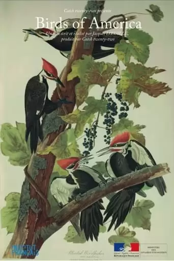 Birds Of America (2022)
