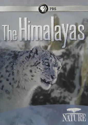 The Himalayas (2011)