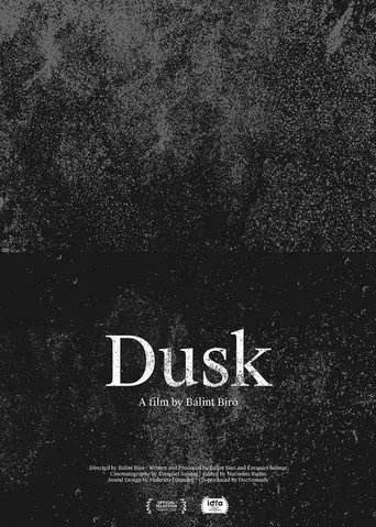 Dusk (2020)
