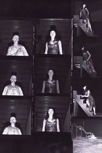 The Miraculous Mandarin (2001)