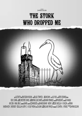 The Stork Who Dropped Me (2016)