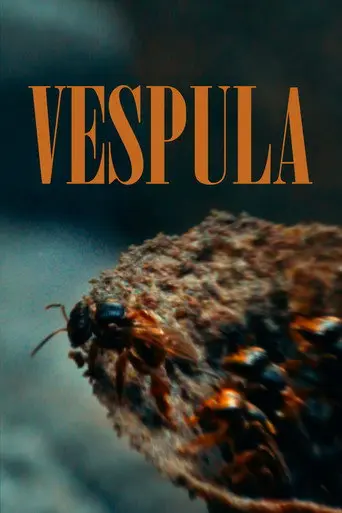 Vespula (2022)