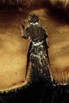 American Falls (2010)