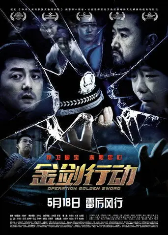 金剑行动 (2024)