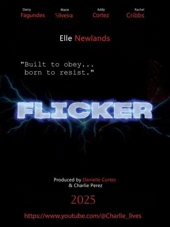 Flicker (2026)