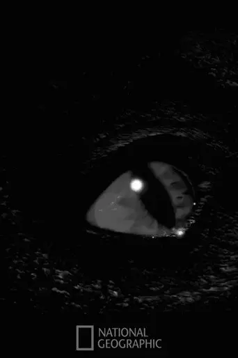 Prehistoric Monsters Revealed (2008)