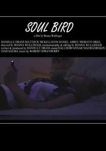 Soul Bird (2014)