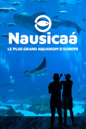 Nausicaa: The Largest Aquarium in Europe (2019)