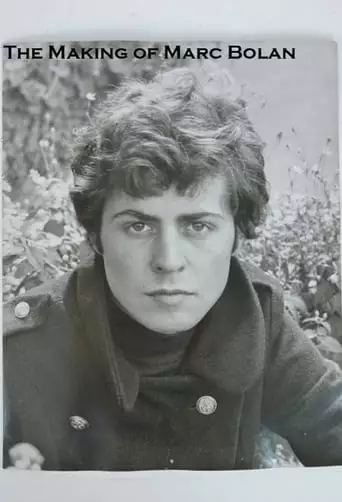 The Making of Marc Bolan (2017)