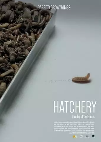 Hatchery (2023)
