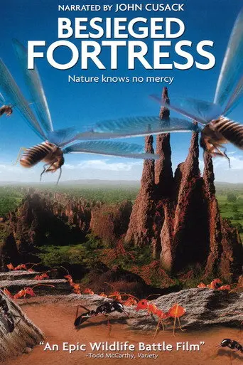 The Besieged Fortress (2006)