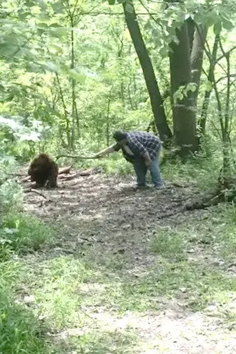 Bigfoot (2017)