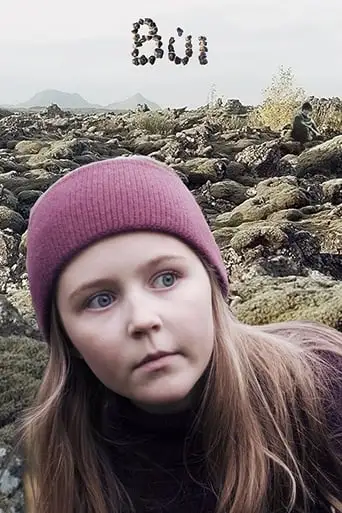Búi (2017)