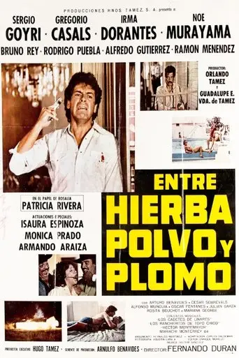 Entre Hierba, Polvo y Plomo (1984)