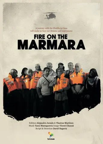 Fire on the Marmara (2011)