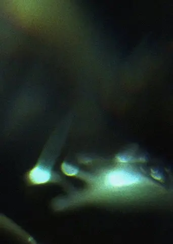 Prisms (2012)