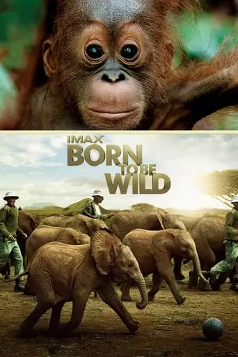 Born To Be Wild (2011)
